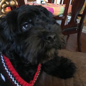 Meet your Posher, Mireya